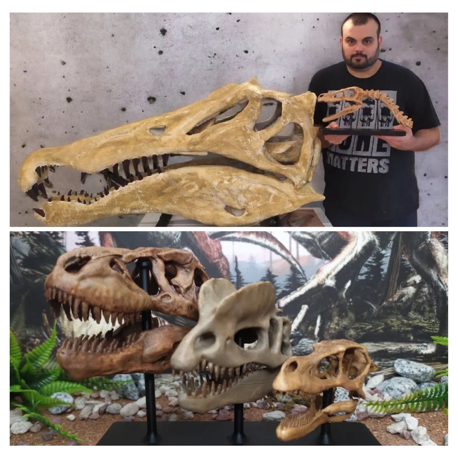 Dinosaur Fossil Printing Enthusiast: A Good Friend of FLSUN Italy